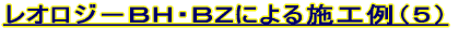 ���I���W�|�a�g�E�a�y�ɂ��{�H��i�T�j 